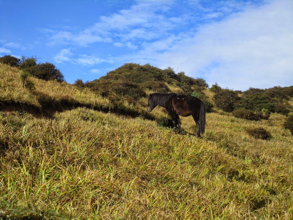 Photo of Sandakphu Trekkers Hut, Sandakhphu, West Bengal, India by Smita Chakraborty