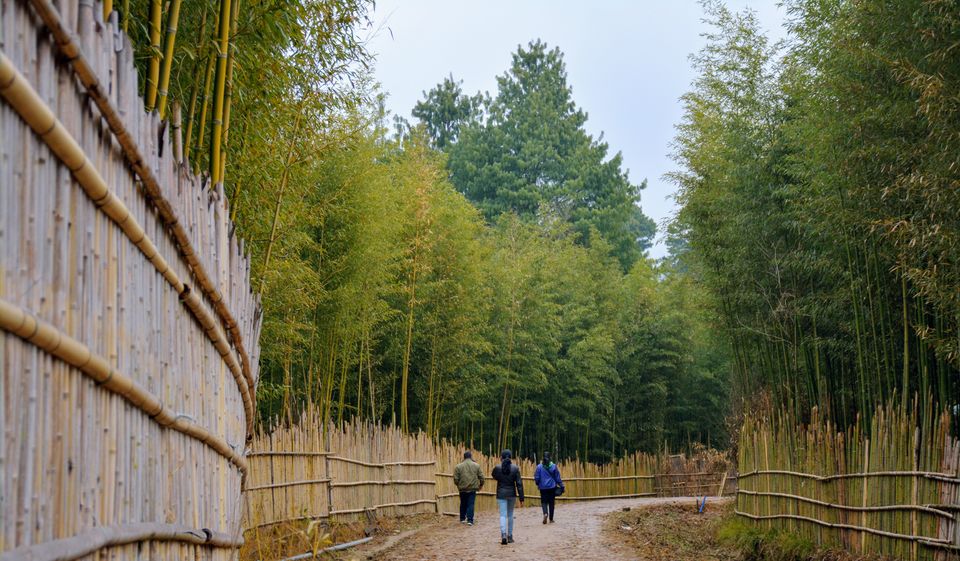 Photo of An Old Village Of The Apatani Tribe, Ziro(0) 2/9 by Smita Chakraborty