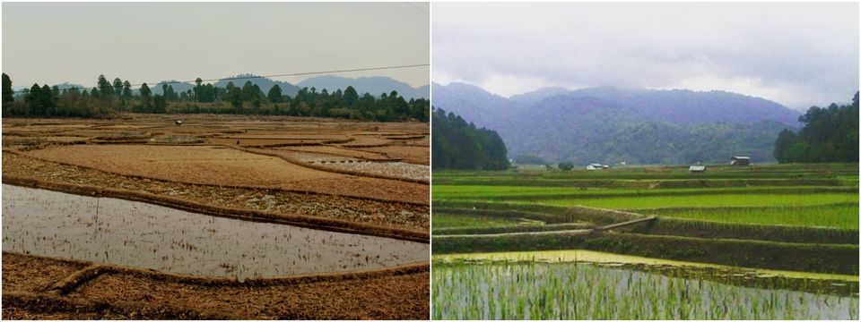 Photo of An Old Village Of The Apatani Tribe, Ziro(0) 5/9 by Smita Chakraborty