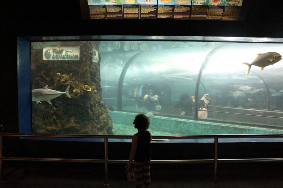 Photo of Phuket Aquarium Wichit Phuket Thailand by Elizabeth