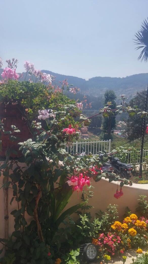 Photo of Earl's Secret, Ooty, Tamil Nadu, India by Neha