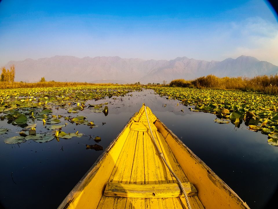 Photo of A weekend well spent at dal lake by Waleed tak