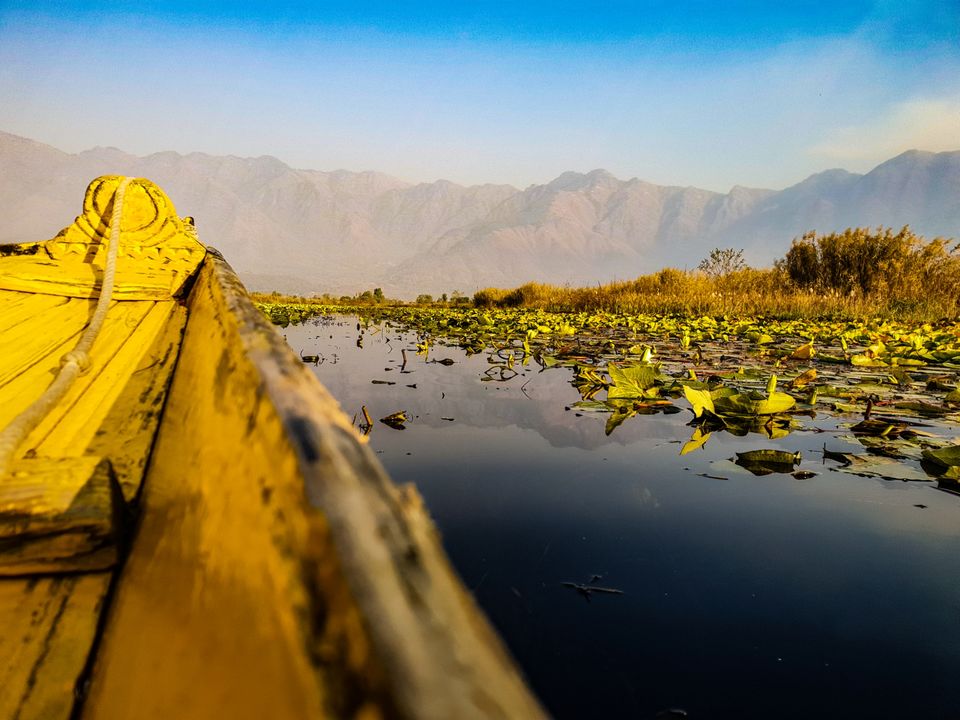 Photo of A weekend well spent at dal lake by Waleed tak