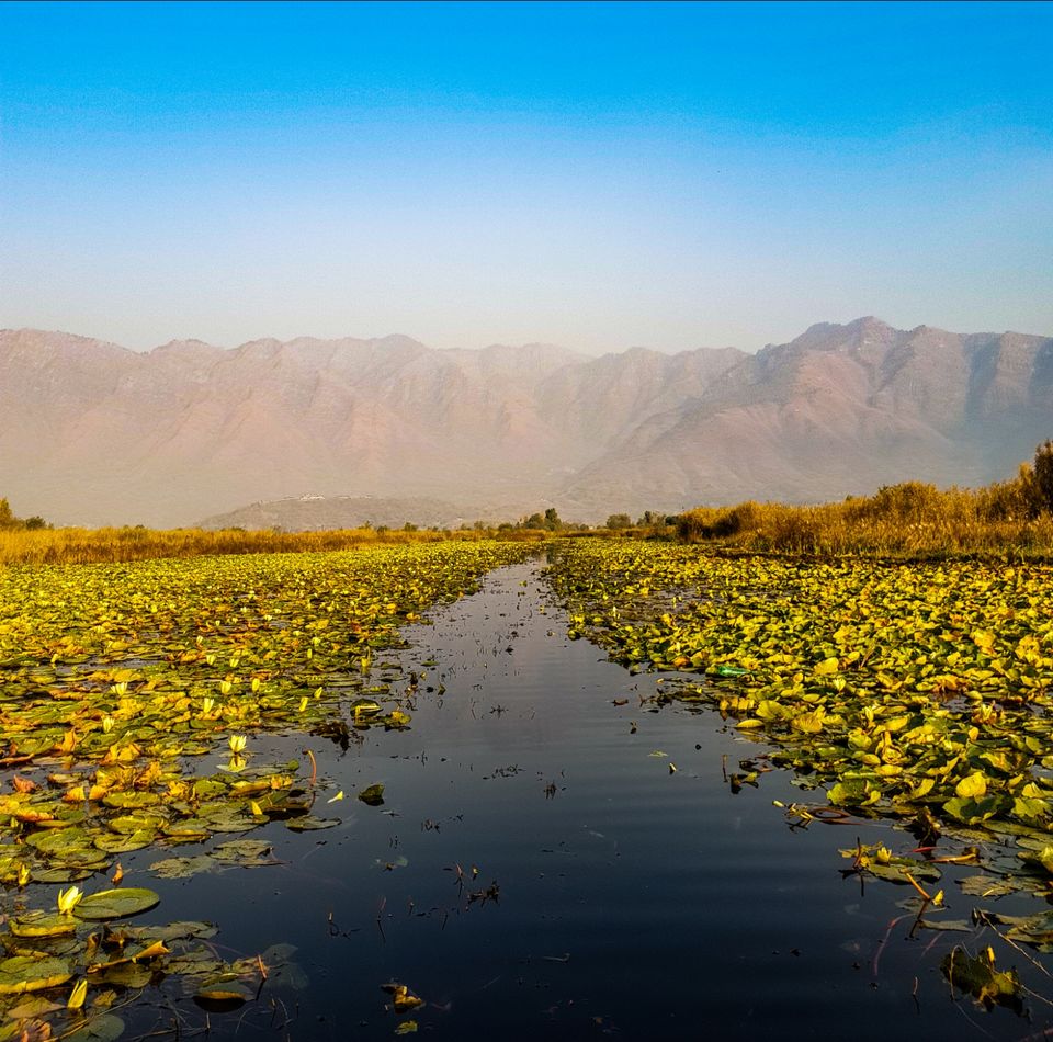 Photo of A weekend well spent at dal lake by Waleed tak