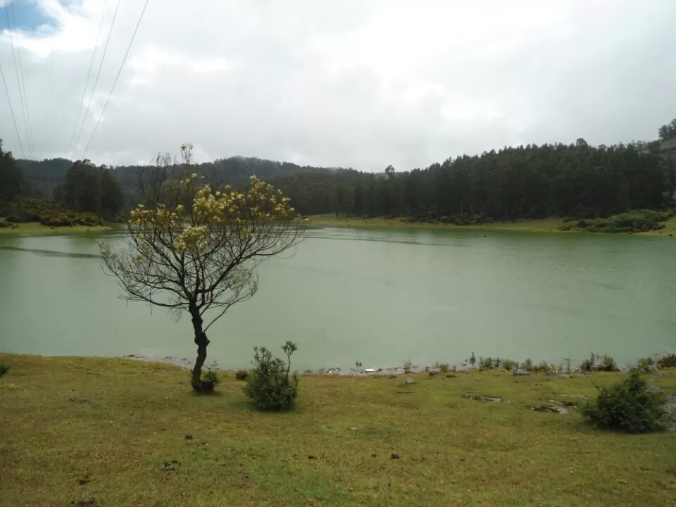 Photo of Ooty, Tamil Nadu, India by Kinshuk Srivastava