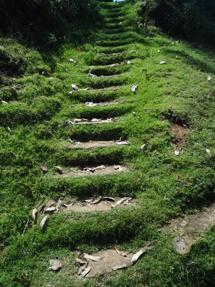 Photo of Ooty, Tamil Nadu, India by Kinshuk Srivastava