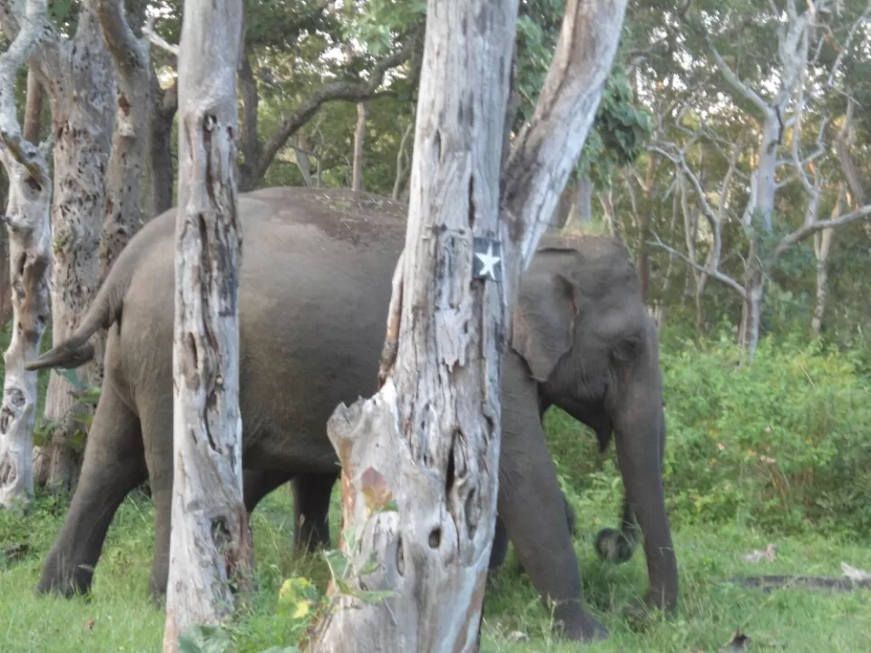 Photo of Ooty, Tamil Nadu, India by Kinshuk Srivastava
