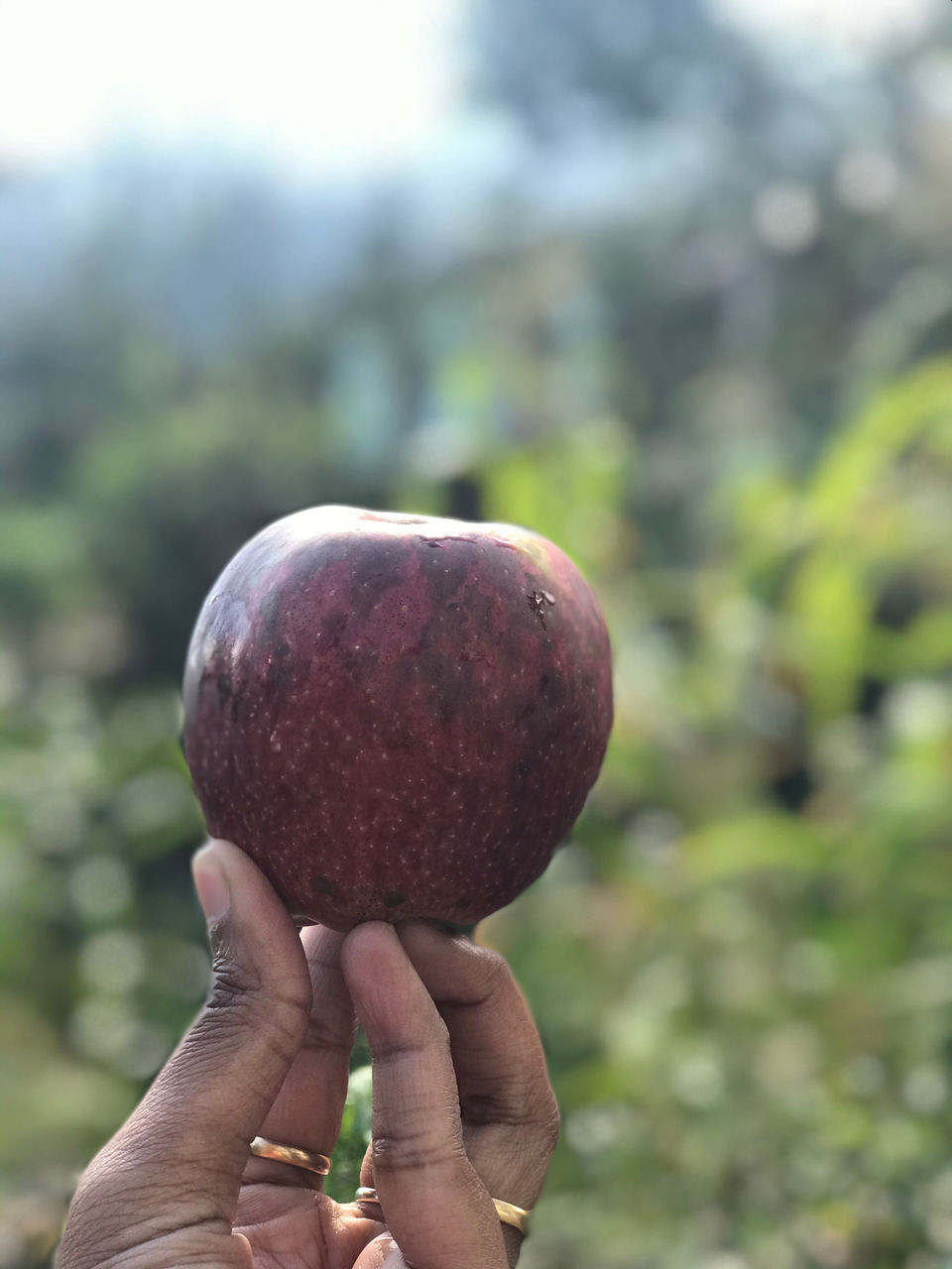 Photo of Manali, Himachal Pradesh, India by Riya Sharma
