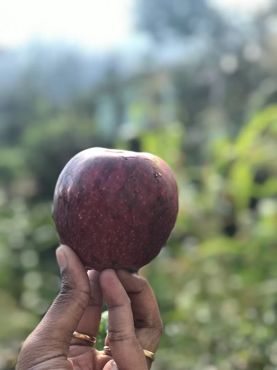 Photo of Manali, Himachal Pradesh, India by Riya Sharma