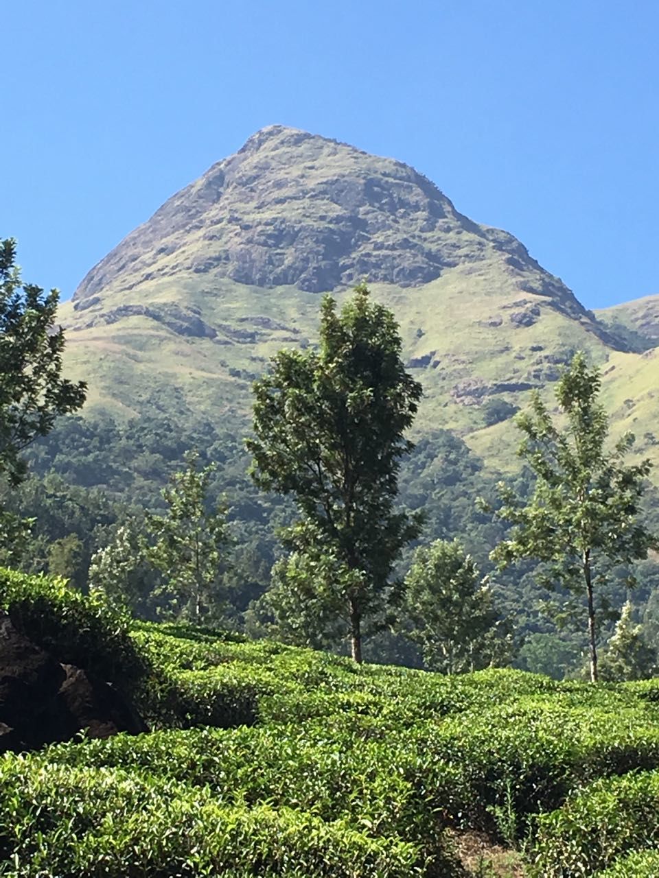Photo of Chembra Peak Heart Lake, Kottappadi part, Kerala, India by Nandini Ramesh