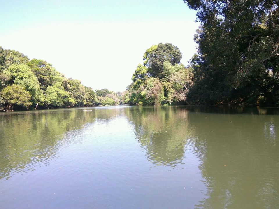 Photo of Towards west, To Wayanad by Nandini Ramesh