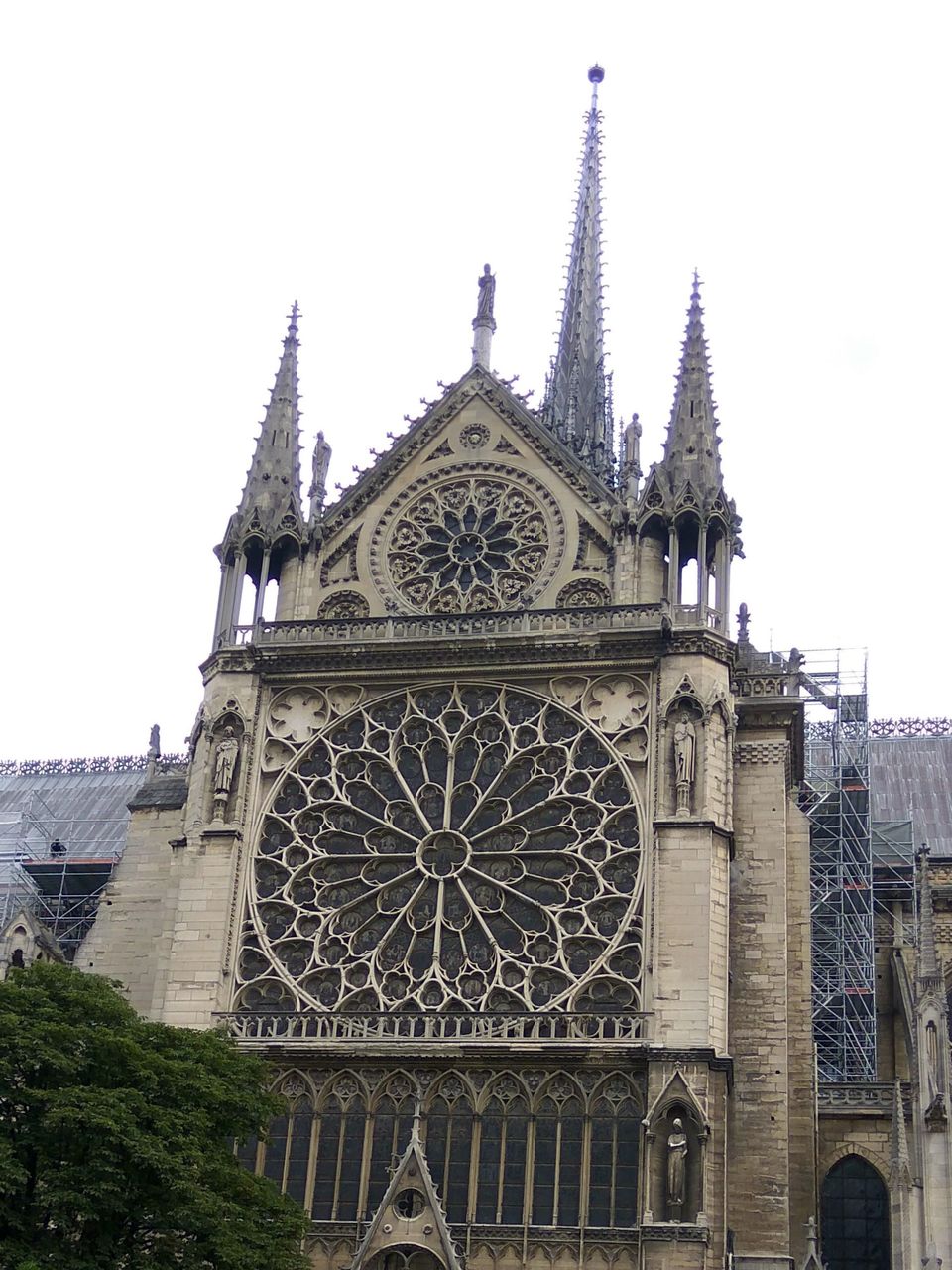 Photo of Perfect Paris by Nandini Ramesh