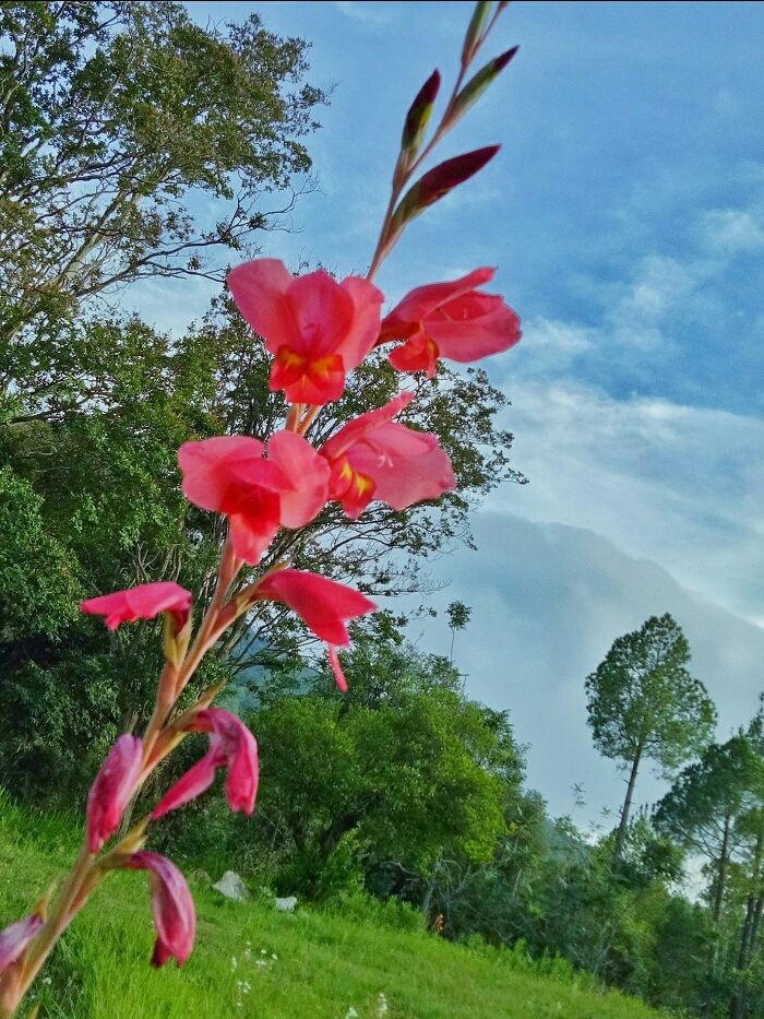 Photo of Kumaon Mandal Vikas Nigam Tourist Rest House Tallital, Thandi Road, Tallital, Nainital, Uttarakhand, India by Kalsariya Smit
