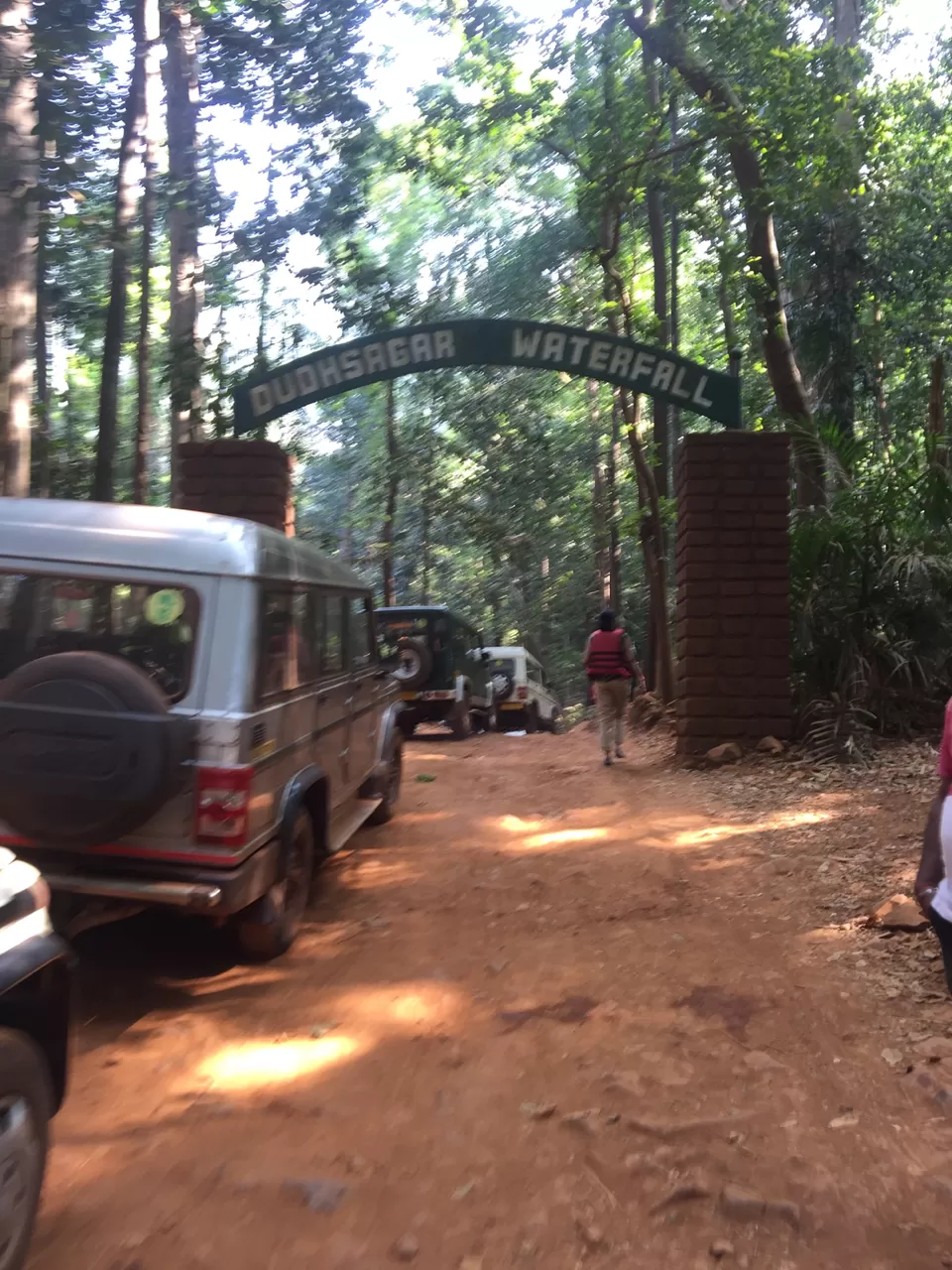 Photo of Dudhsagar Falls, Sonaulim, Goa, India by Rama Krishna Pardhu