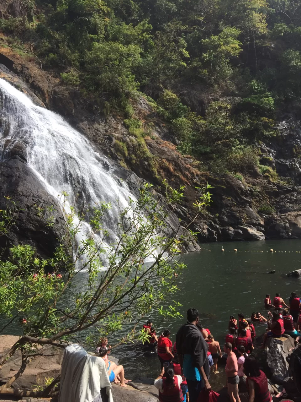Photo of Dudhsagar Falls, Sonaulim, Goa, India by Rama Krishna Pardhu