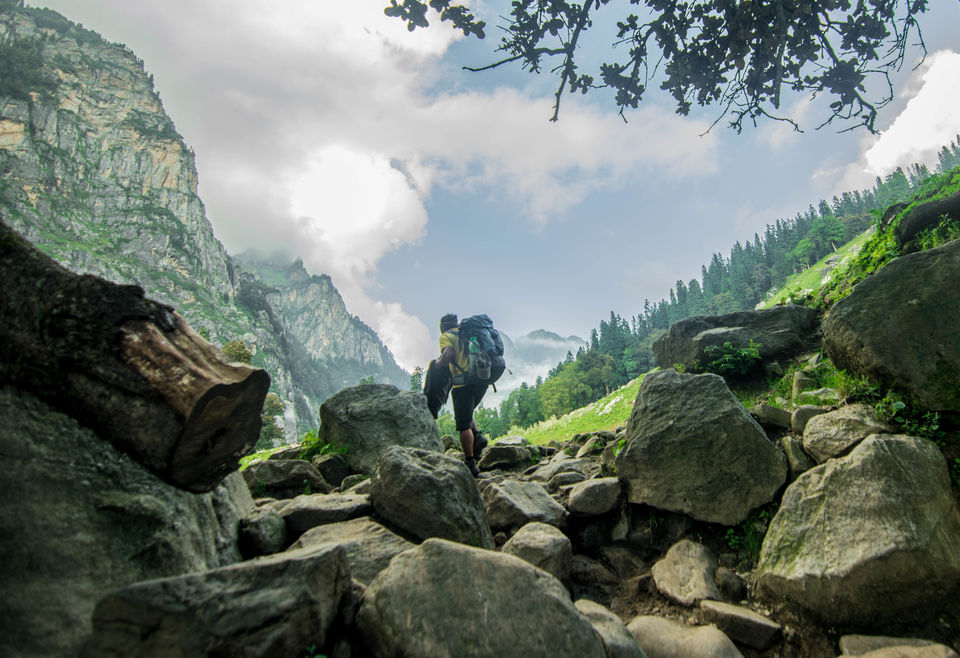 Photo of Chika Camp Site, Bashisht, Himachal Pradesh, India by Souvik Roy