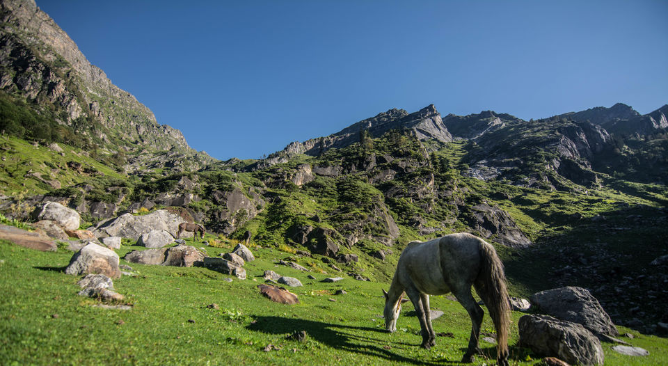 Photo of Balu Ka Ghera Campsite, Kullu, Himachal Pradesh, India by Souvik Roy