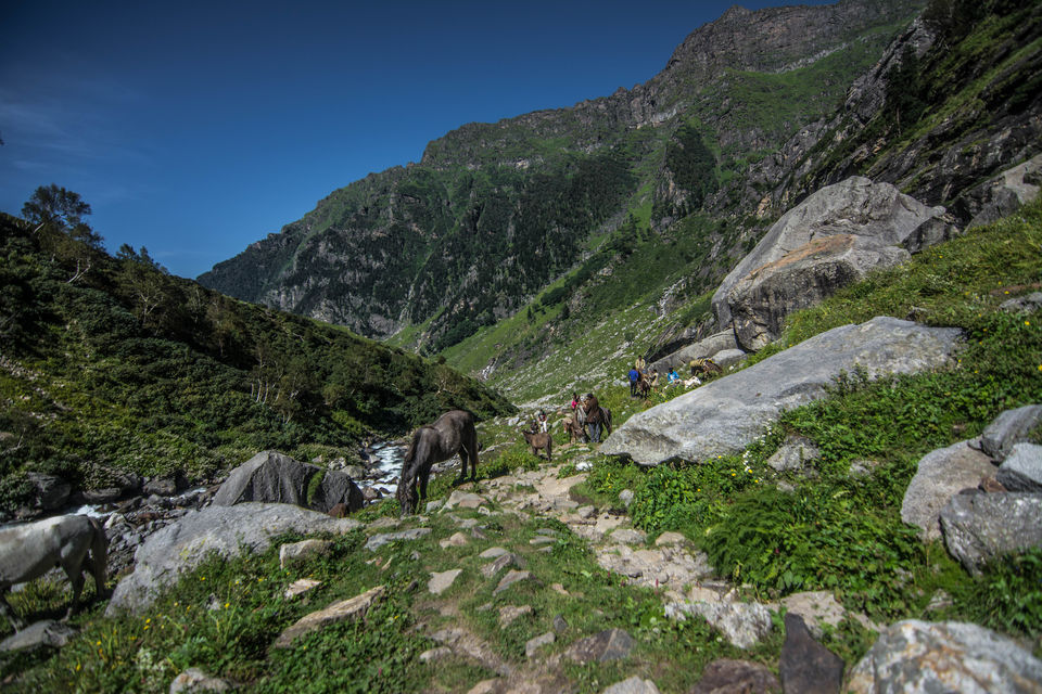 Photo of Balu Ka Ghera Campsite, Kullu, Himachal Pradesh, India by Souvik Roy