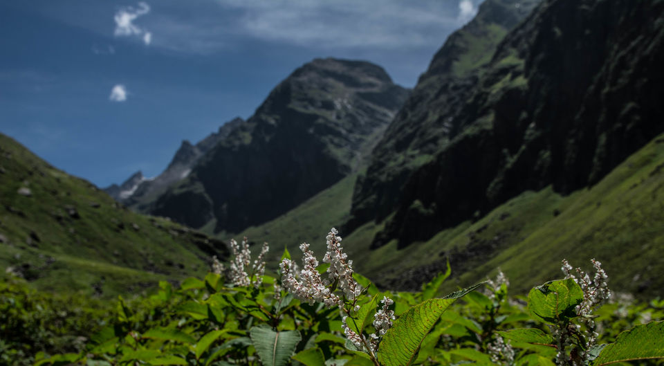 Photo of Hampta Pass - The perfect cross-over trek by Souvik Roy
