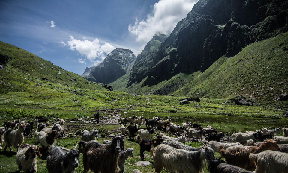 Photo of Hampta Pass - The perfect cross-over trek by Souvik Roy
