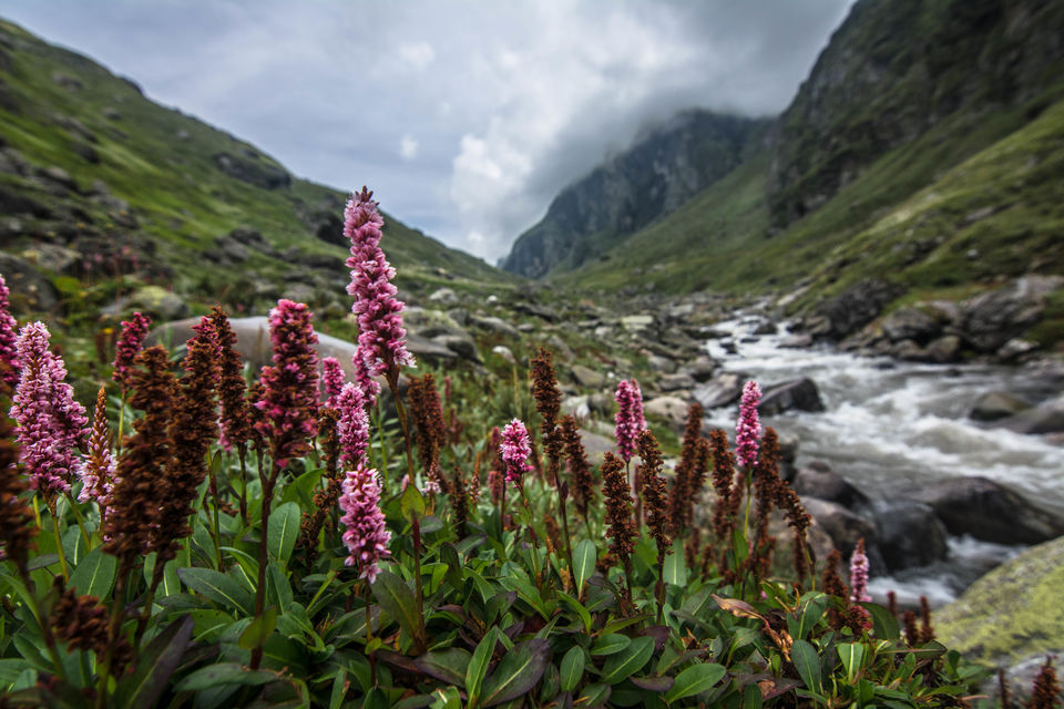 Photo of Hampta Pass - The perfect cross-over trek by Souvik Roy