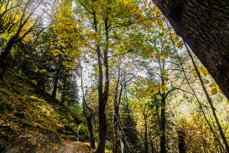 Photo of Parvati Valley - Where Gods reside ! by Souvik Roy