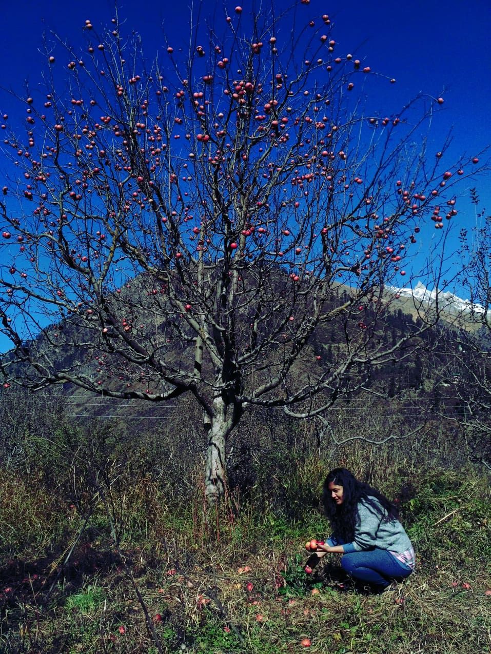 Photo of Parvati Valley - Where Gods reside ! by Souvik Roy
