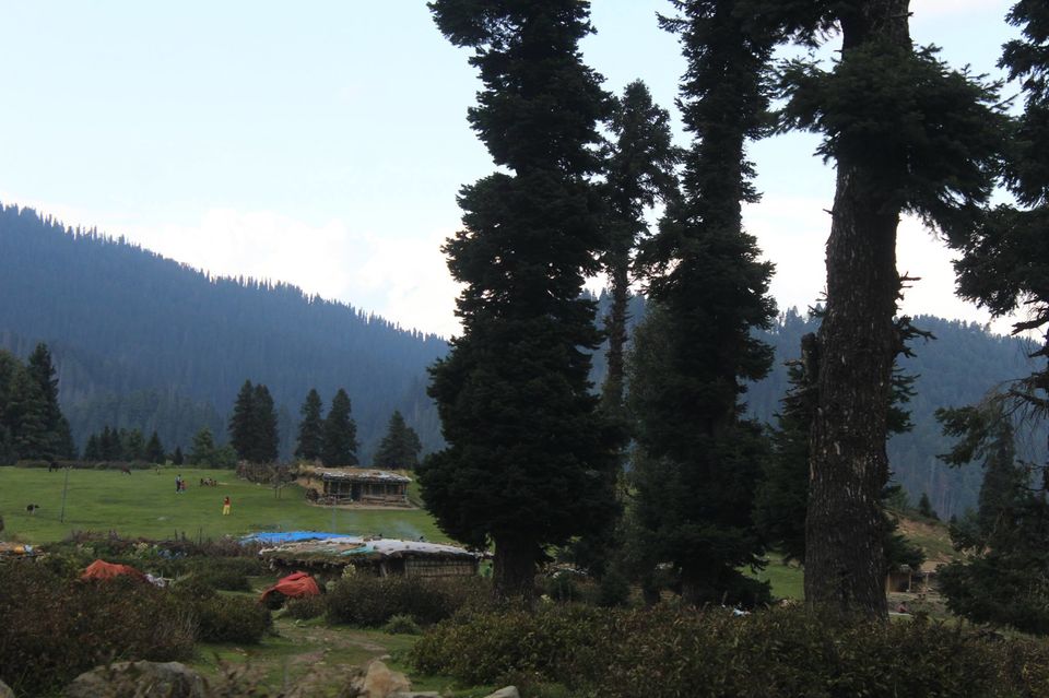 Photo of Cycling trip to Gulmarg by Muzamil Farooq