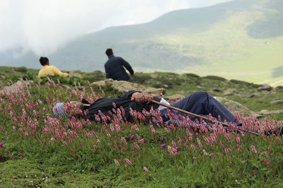 Photo of Trekking towards Famber Valley Kishtwar 39/100 by Muzamil Farooq