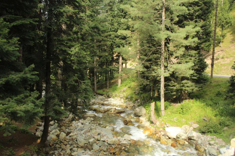 Photo of Trekking towards Famber Valley Kishtwar 2/100 by Muzamil Farooq
