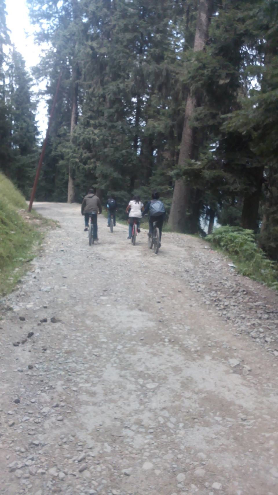 Photo of Cycling trip to Gulmarg by Muzamil Farooq