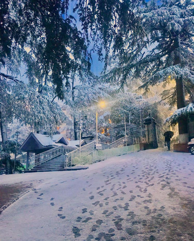 Photo of Shimla,Himachal Pradesh-Backpackers Paradise 10/11 by Muzamil Farooq