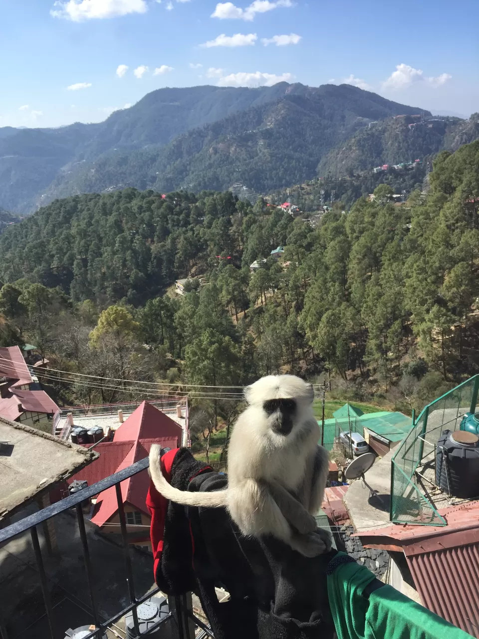 Photo of Shimla, Himachal Pradesh, India by Muzamil Farooq