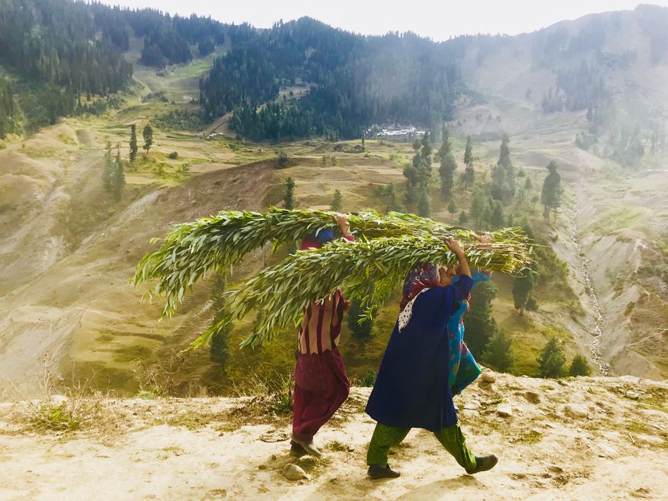 Photo of Gurez : The valley of Dards. by Muzamil Farooq