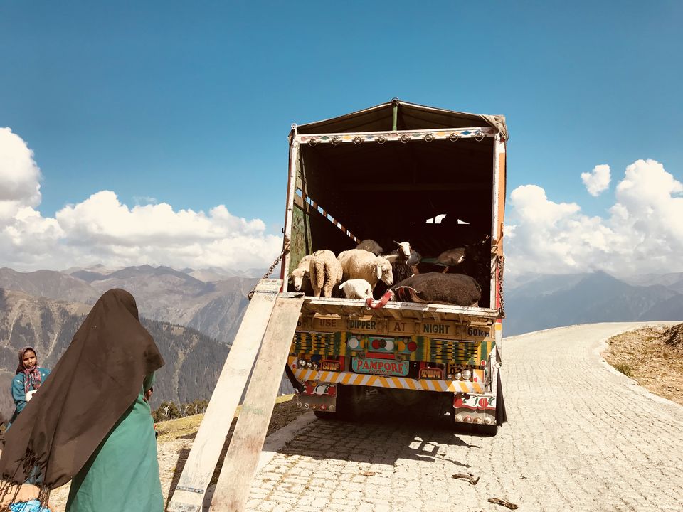 Photo of Gurez : The valley of Dards. by Muzamil Farooq