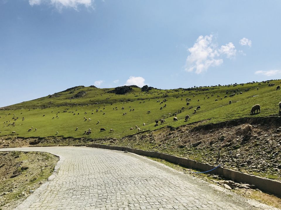 Photo of Gurez : The valley of Dards. by Muzamil Farooq