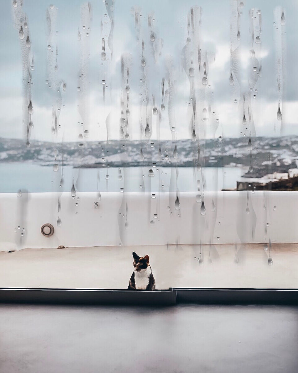 Photo of Lamda Destinations, Mykonos 1/3 by The Travelling Lipstick