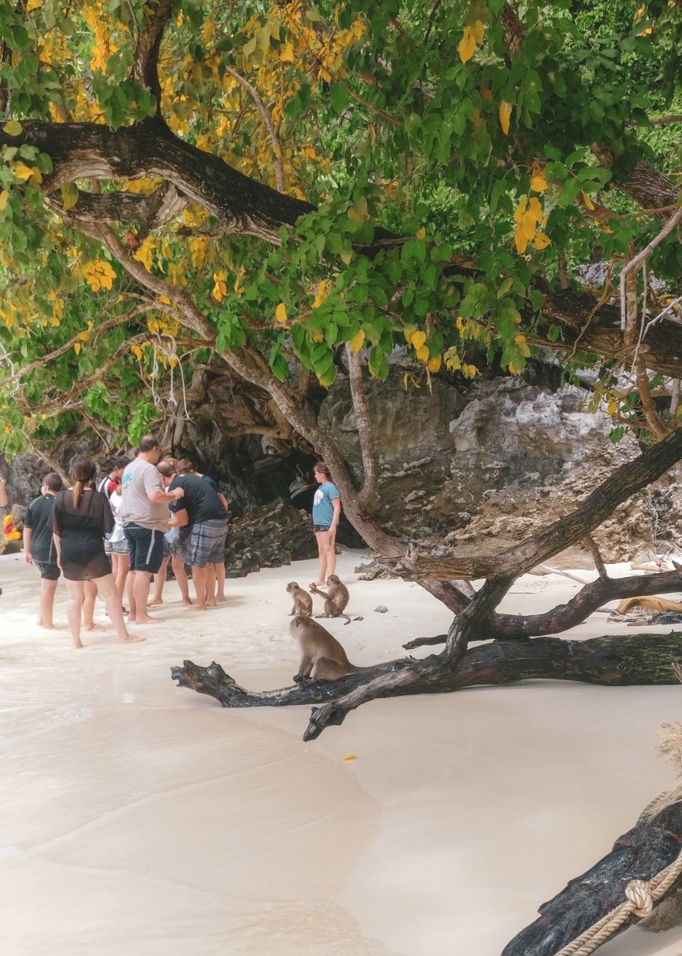 Photo of Phi Phi Islands, Krabi, Thailand by Devyani Gupta