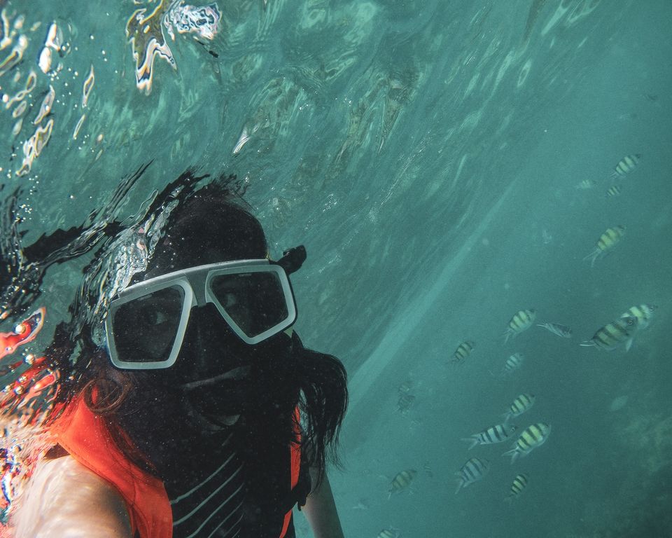 Photo of Phi Phi Islands, Krabi, Thailand by Devyani Gupta