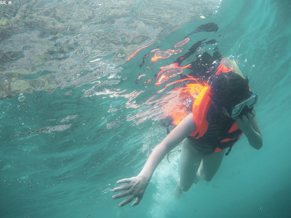 Photo of Phi Phi Islands, Krabi, Thailand by Devyani Gupta
