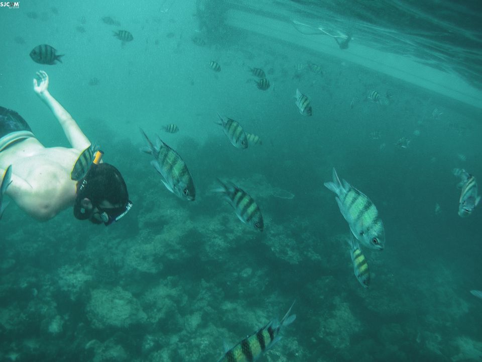 Photo of Phi Phi Islands, Krabi, Thailand by Devyani Gupta