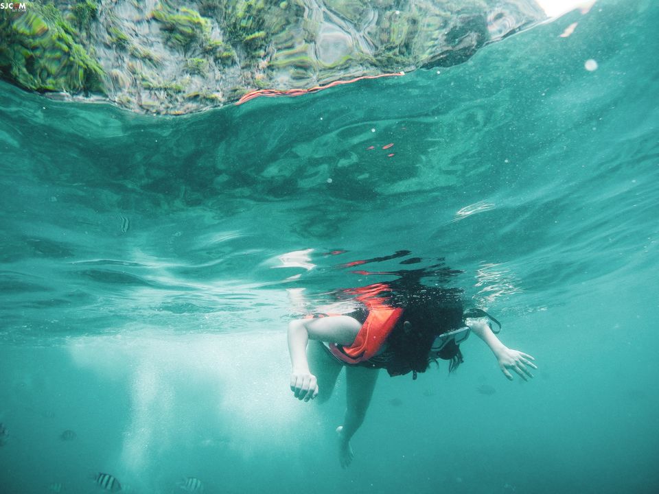 Photo of Phi Phi Islands, Krabi, Thailand by Devyani Gupta