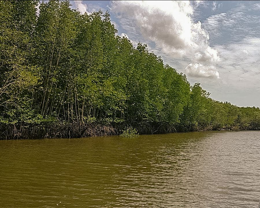 Photo of Koh Lanta, Krabi, Thailand by Devyani Gupta