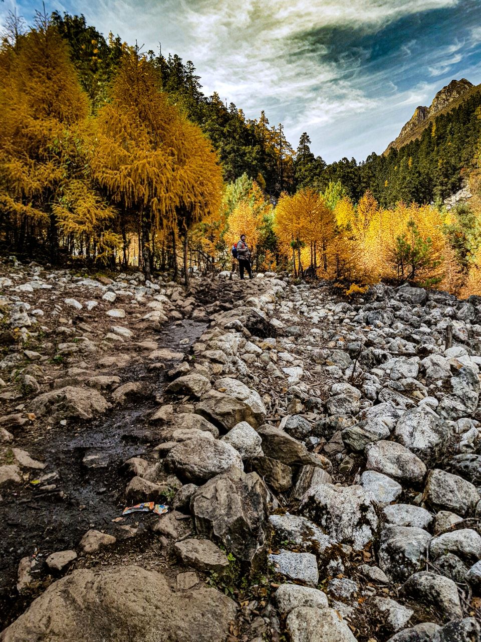 Photo of Manaslu Trek, Thoche, Nepal by Dr.Pranjal Upadhayay