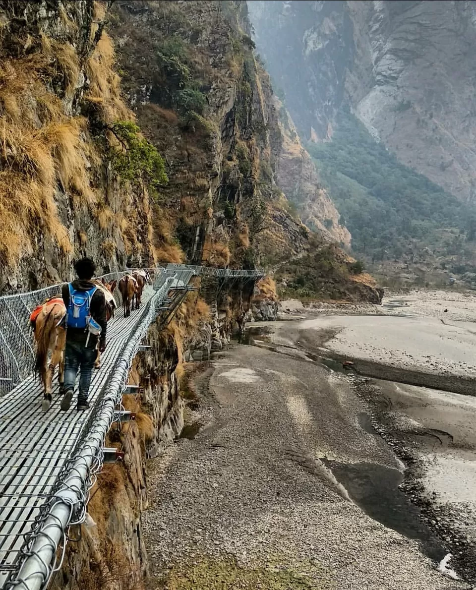 Photo of Manaslu Trek, Thoche, Nepal by Dr.Pranjal Upadhayay