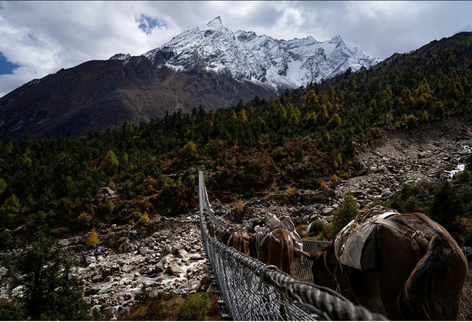 Photo of Manaslu Trek, Thoche, Nepal by Dr.Pranjal Upadhayay