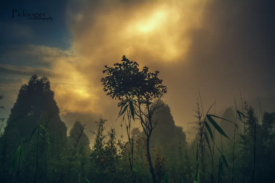 Photo of Darjeeling, West Bengal, India by Piclooper