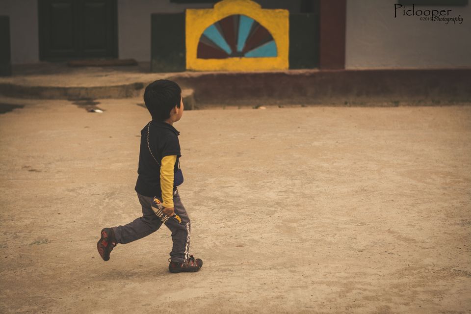 Photo of Darjeeling, West Bengal, India by Piclooper