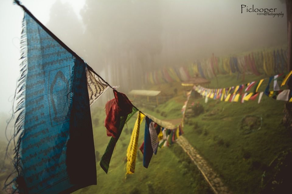 Photo of Darjeeling, West Bengal, India by Piclooper