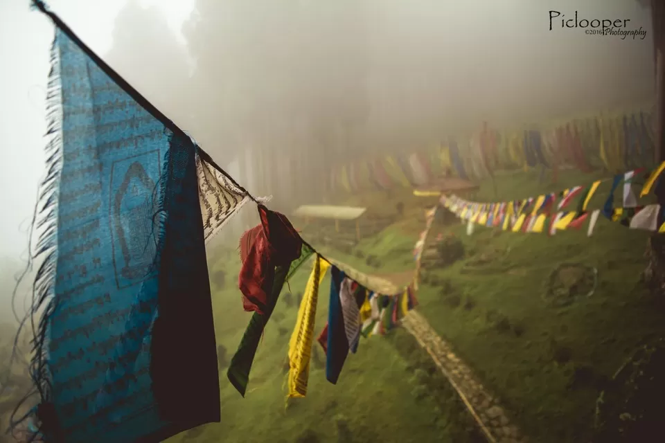 Photo of Darjeeling, West Bengal, India by Piclooper